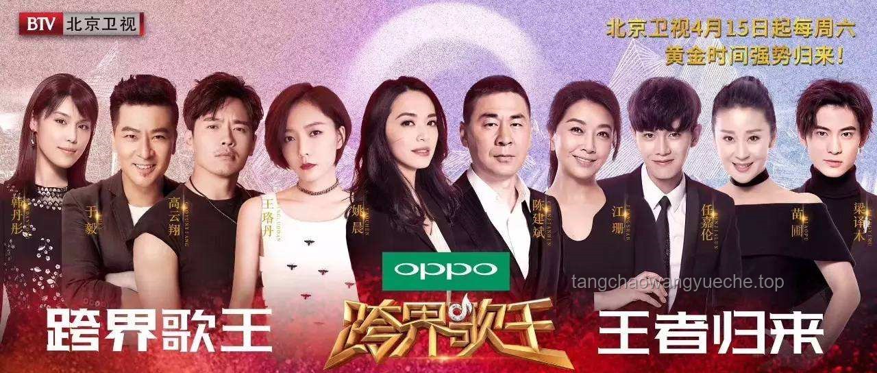 刘若英自编自导新剧抄袭风波，了解抄袭判定与原创保护